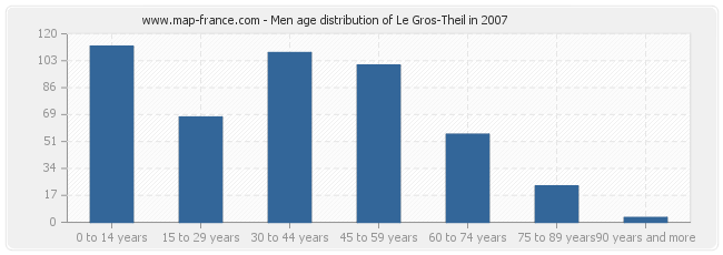 Men age distribution of Le Gros-Theil in 2007